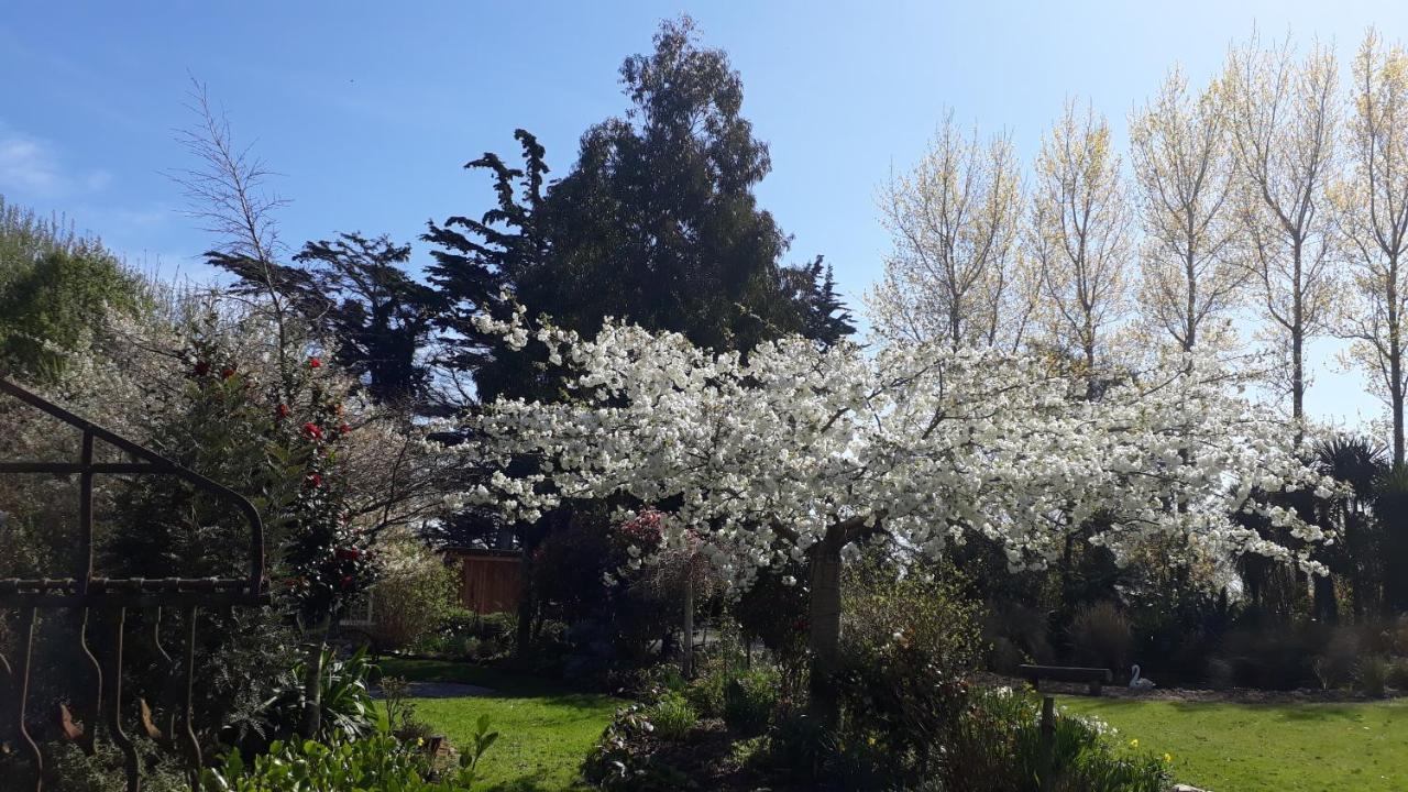 Folster Gardens Bed And Breakfast Invercargill Dış mekan fotoğraf