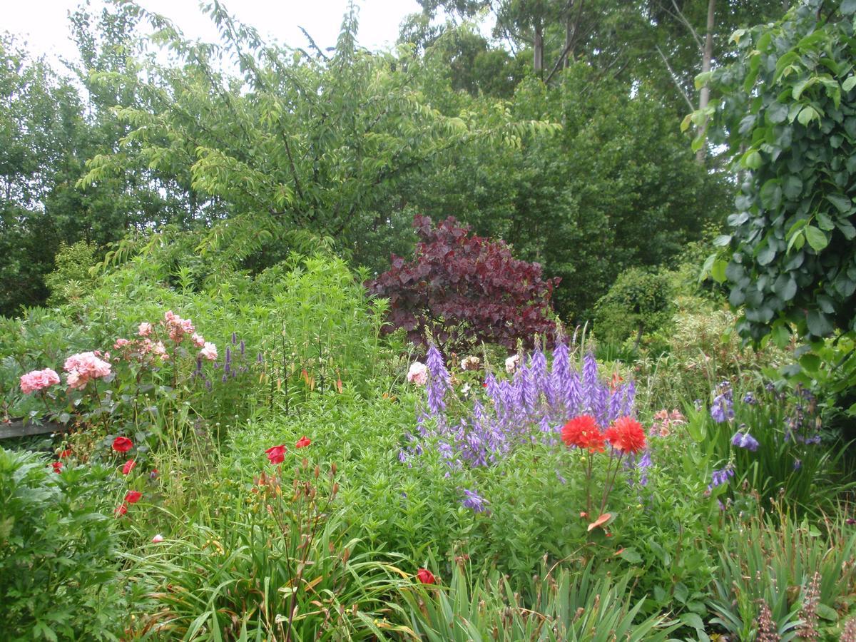 Folster Gardens Bed And Breakfast Invercargill Dış mekan fotoğraf